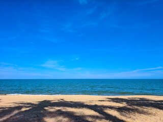 Seaside Serenity: A panoramic view of the beach, where the sky meets the ocean in a seamless horizon, inviting relaxation and offering a sense of pure escapism.