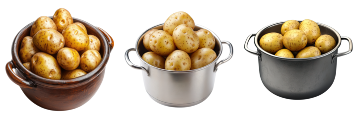 Various pots filled with fresh potatoes, ready for cooking or consumption, each showcasing their unique presentation and arrangement