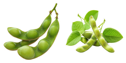 Close-up shot of fresh green soybeans and leaves, perfect for illustrating healthy eating or agricultural concepts. The vibrant green color of the pods is appealing