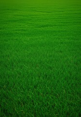 A vibrant, healthy green grass surface texture covering a large field, showing detailed blades and rich color, perfect for backgrounds, detailed, lush, park