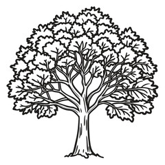 Black silhouette of a tree with detailed roots and foliage