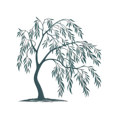 Willow Tree (Hanging Leaves)