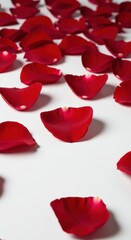 Vibrant red rose petals scattered across a clean, pure white surface creating a powerful visual contrast for celebrations and romance ,celebration ,wedding ,bright
