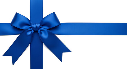 Blue ribbon and bow