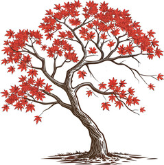 Maple Tree (Red Autumn Leaves
