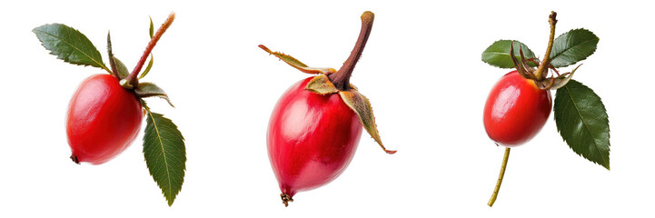 Vibrant red berries with green leaves on a white background