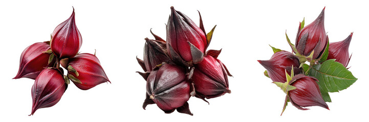 Vibrant red hibiscus flowers, a symbol of beauty and health, displayed in a stunning arrangement