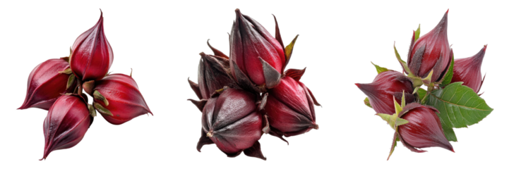 Vibrant red hibiscus flowers, a symbol of beauty and health, displayed in a stunning arrangement