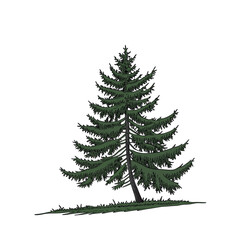  Fir Tree (Christmas Tree Shape)