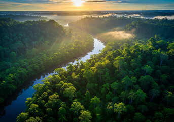 Breathtaking aerial view of a winding river flowing through a dense tropical jungle at sunrise, with golden sunbeams piercing through the morning mist, creating a serene and pristine natural landscape