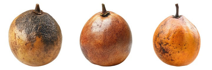 Three pears at different stages of ripeness. Showing the stages of decay in fruit