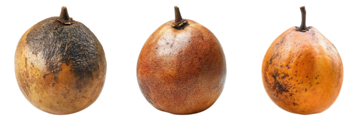 Three pears at different stages of ripeness. Showing the stages of decay in fruit