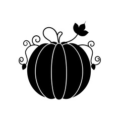 Silhouette of a pumpkin with vines and one leaf on transparent background