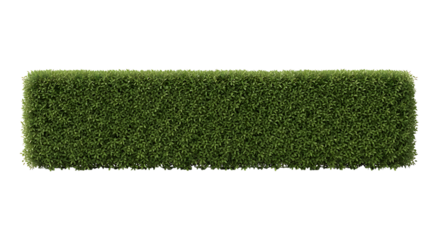 A perfectly trimmed green hedge in a rectangular shape, symbolizing order and nature