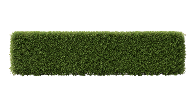 A perfectly trimmed green hedge in a rectangular shape, symbolizing order and nature