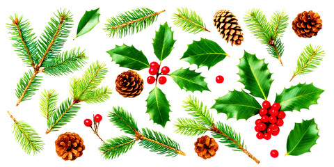 Winter holiday Christmas tree branch with red berries and pine cones decoration