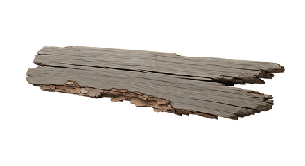 Weathered Piece of Wood Bark Against a White Background | Macro Shot Texture