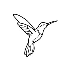 Fototapeta premium Hummingbird flying in a black and white line drawing on transparent background