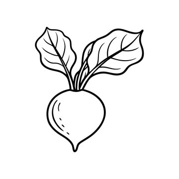 Illustration of a simple turnip with two leaves on transparent background