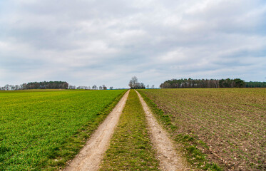 Dirt road in the middle of countryside. Country road in field. Country road to village. Straight country way and field nature. Rural road through farmland. Rural way to village in countryside