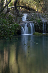 Naklejka premium Beautiful long exposure shot of a forest waterfall. Tranquil forest waterfall captured with long exposure. Smooth flowing waterfall surrounded by dense nature.