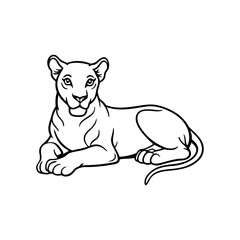 Outline drawing of a lioness in a resting position on transparent background