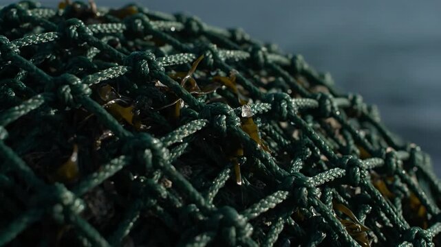 Fishing net close up with seaweed caught inside, ocean background