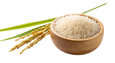 Close-up of pristine white jasmine rice grains overflowing in a rustic wooden bowl, perfectly complemented by a vibrant rice stalk showcasing natural agricultural harvest and healthy food ingredients