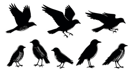 Obraz premium Black silhouette of crows in various flying and perched positions, showcasing distinct avian features and dynamic movements.