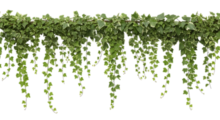 Hanging Ivy Garland Lush Greenery for Natural and Elegant Designs