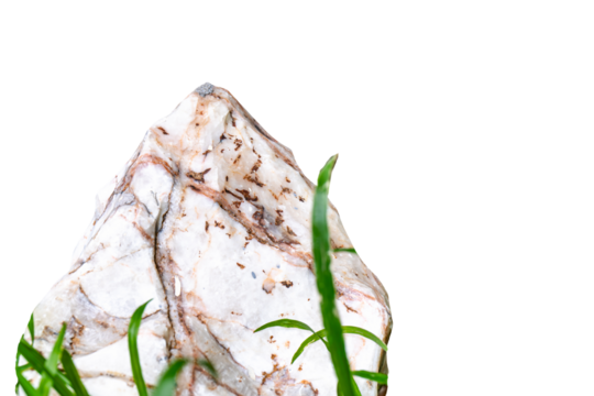 A jagged, rough-hewn marble or quartz rock with striking brown veins, accented by vibrant green grass at the base. Isolated on pure clear background, for natural product display.