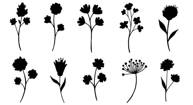 Ten unique black silhouette illustrations of various wildflowers, each with distinct shapes and petal arrangements.