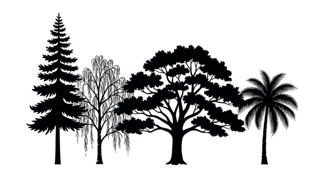 Black silhouette illustration of four distinct tree types, including a pine, willow, oak, and palm, showcasing diverse botanical shapes on a white background.