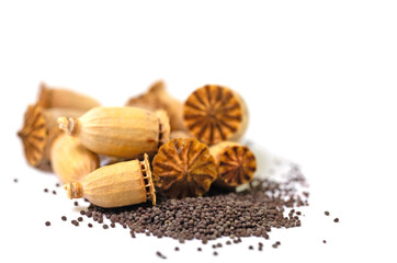 Obraz premium Getrocknete Mohnkapseln mit Samen vor weißem Hintergrund