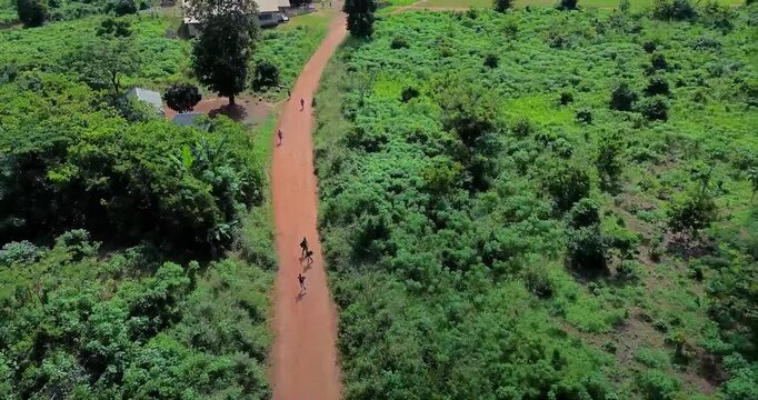 Aerial view of a village road, forest