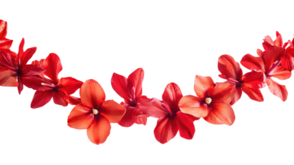 Red flowers garland isolated on a transparent background