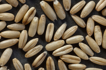 Detailed close-up of elongated oat seeds. Smooth texture and golden tones ideal for food industry, farming, and organic product visuals