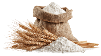 Sack of flour with wheat stalks isolated on a transparent background