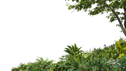 Obraz premium 3D render foreground of tropical plants and branches on a transparent background