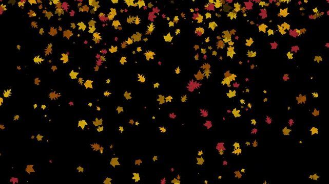 Autumn waves on a black background, moving towards the light. Looping 4K resolution. Alpha Channel Prores 4444