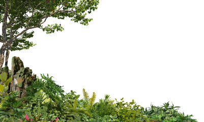 3D render foreground of tropical plants and branches on a transparent background © jomphon