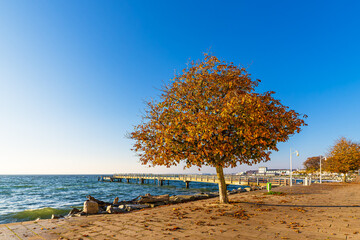 Promenade und Seebrücke im Herbst in der Stadt Sassnitz auf der Insel Rügen