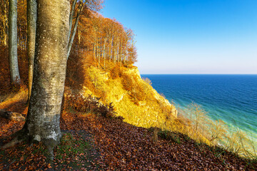 Kreidefelsen im Herbst an der Küste der Ostsee auf der Insel Rügen
