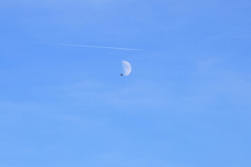 Demi-Lune avec un oiseau et un avion 