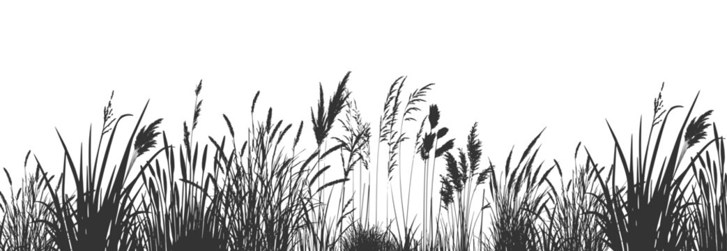 Silhouettes of wild reeds swaying gently along the quiet riverbank.