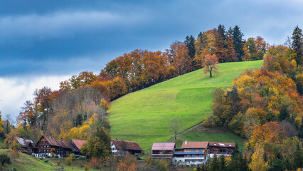 Built-up mountainside with houses, gardens and forests, autumnal colored under cloudy sky, steep meadow with single tree, village on hill, old and new house and autumn trees