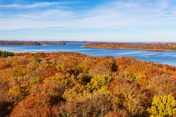 Herbstliche Wälder und Jasmunder Bodden auf der Insel Rügen