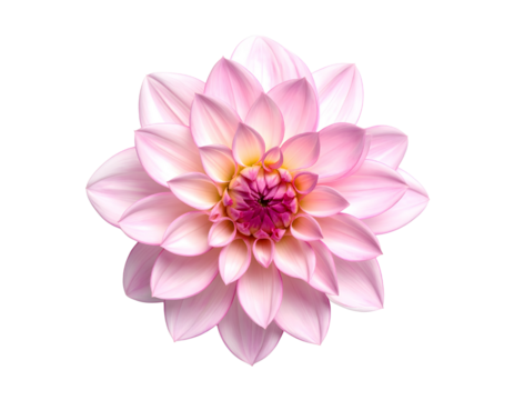 Pink dahlia flower isolated, top down view showcasing its delicate petals and vibrant magenta and yellow center on a clean background. isolated on transparent background - Powered by Adobe