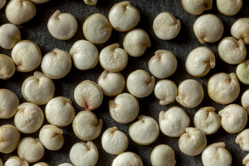 Extreme macro of quinoa grain surface showing dimples and powdery coating. Ideal for food texture, botany, and scientific visuals.