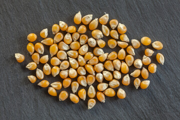 Popcorn kernels scattered on a dark background. Glossy yellow grains used in food, agriculture, and snack production. Ideal for culinary visuals.